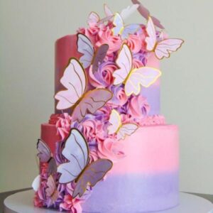 2 Tier Butterfly Theme Cake
